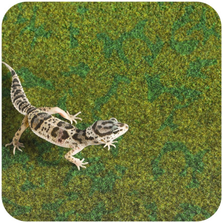 Resun Tropical Carpet Mat 80x30cm | Idealna do terrarium
