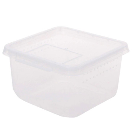 Terrario Insect Box Compact 12x12x7cm - Idealne do hodowli owadów