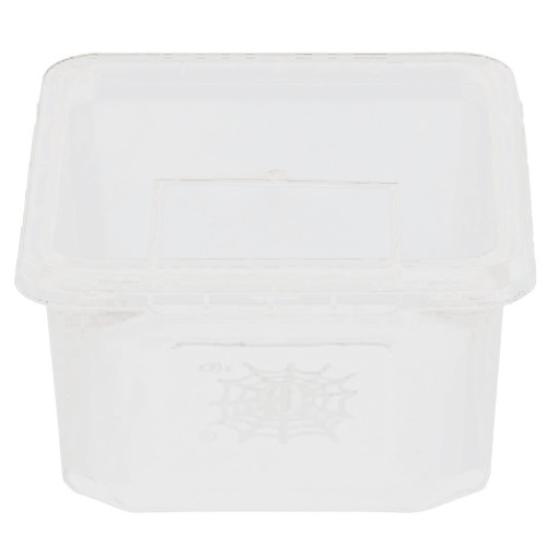 Terrario Insect Box Compact 12x12x7cm - Idealne do hodowli owadów