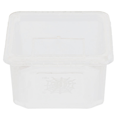Terrario Insect Box Compact 12x12x7cm - Idealne do hodowli owadów