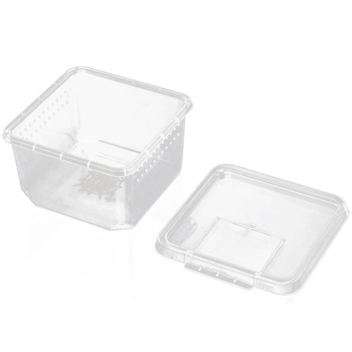 Terrario Insect Box Compact 12x12x7cm - Idealne do hodowli owadów