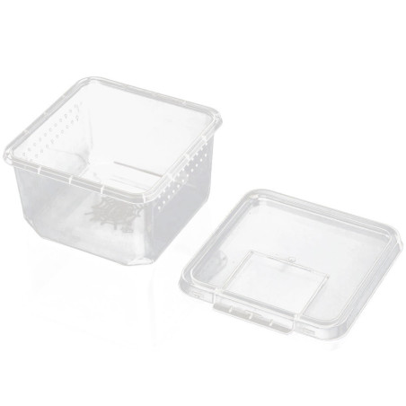 Terrario Insect Box Compact 12x12x7cm - Idealne do hodowli owadów