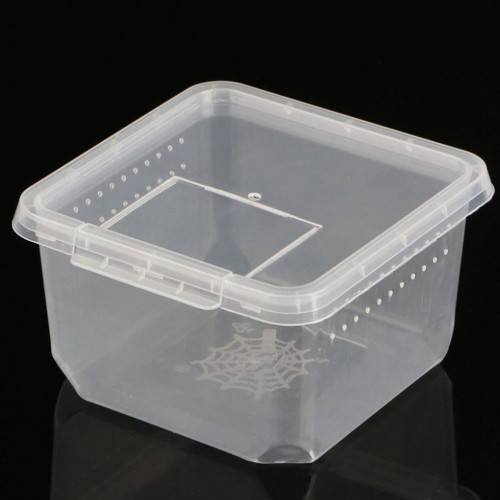 Terrario Insect Box Compact 12x12x7cm - Idealne do hodowli owadów