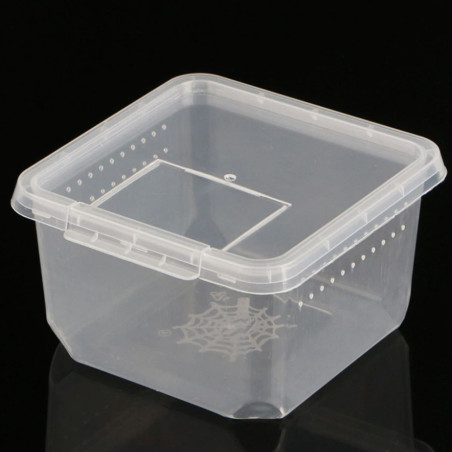 Terrario Insect Box Compact 12x12x7cm - Idealne do hodowli owadów