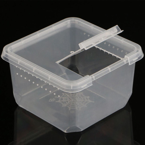 Terrario Insect Box Compact 12x12x7cm - Idealne do hodowli owadów