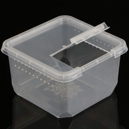 Terrario Insect Box Compact 12x12x7cm - Idealne do hodowli owadów