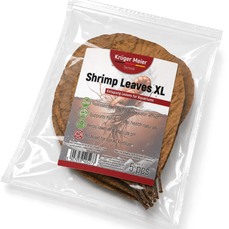 Liście ketapangu Kruger Meier Shrimp Leaves XL 5 szt