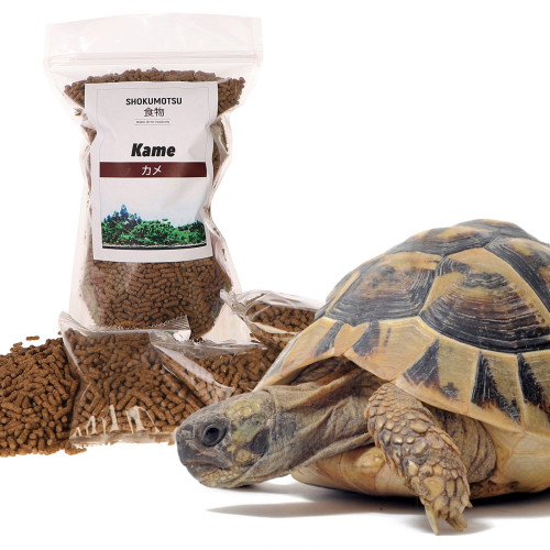Pokarm dla żółwi SHOKUMOTSU Kame 60 g z witaminami