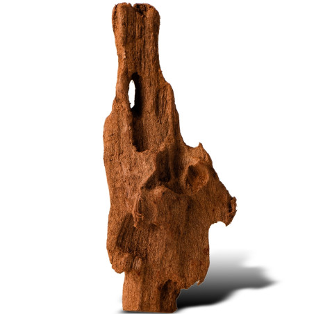 Philippines Classic Driftwood drzewo mangrowca XXS 10 cm - Idealne do nano akwarium