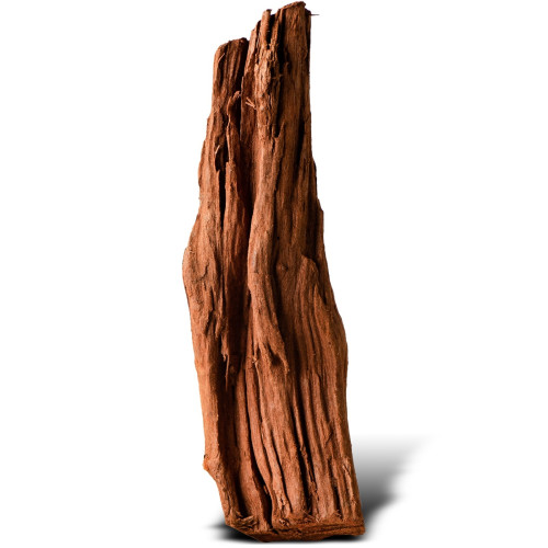 Philippines Classic Driftwood drzewo mangrowca XXS 10 cm - Idealne do nano akwarium