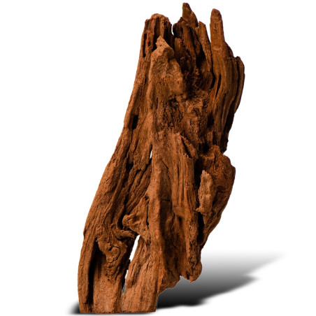Philippines Classic Driftwood drzewo mangrowca XXS 10 cm - Idealne do nano akwarium