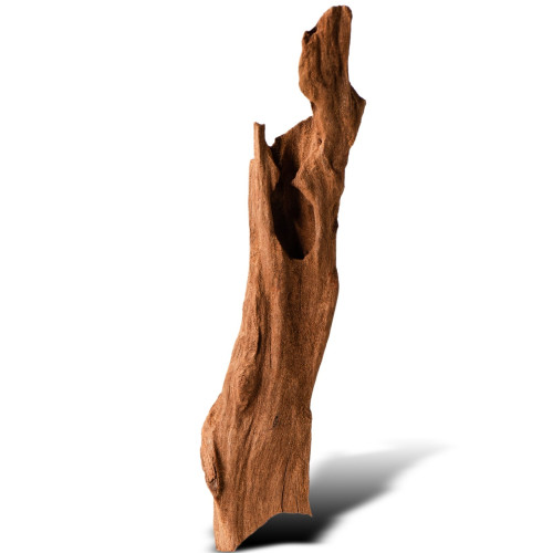 Philippines Classic Driftwood drzewo mangrowca XXS 10 cm - Idealne do nano akwarium