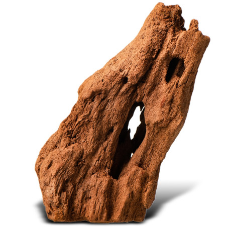 Philippines Classic Driftwood drzewo mangrowca XXS 10 cm - Idealne do nano akwarium
