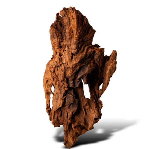 Philippines Classic Driftwood drzewo mangrowca XXS 10 cm - Idealne do nano akwarium