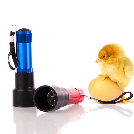 ZECO Mini Light - prześwietlarka owoskop mini | Szybka i precyzyjna kontrola jaj