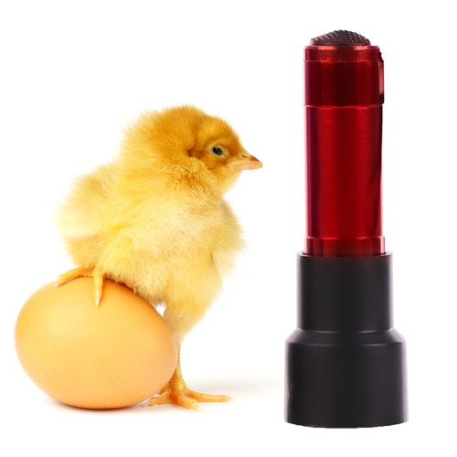 ZECO Mini Light - prześwietlarka owoskop mini | Szybka i precyzyjna kontrola jaj