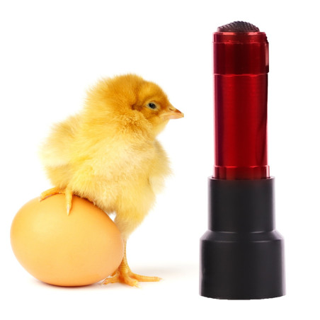 ZECO Mini Light - prześwietlarka owoskop mini | Szybka i precyzyjna kontrola jaj