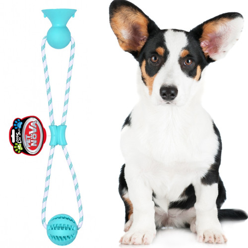 Pet Nova zabawka - piłka dental z przyssawką miętowa 7cm | Czyszczenie zębów i zabawa
