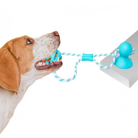 Pet Nova zabawka - piłka dental z przyssawką miętowa 7cm | Czyszczenie zębów i zabawa