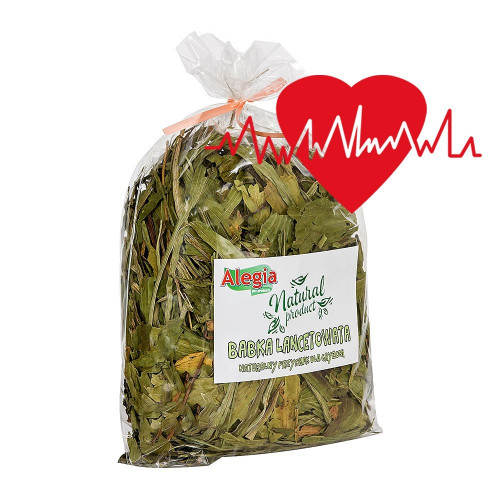 Alegia Babka Lancetowata 100g - Naturalne źródło błonnika dla gryzoni