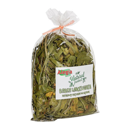 Alegia Babka Lancetowata 100g - Naturalne źródło błonnika dla gryzoni