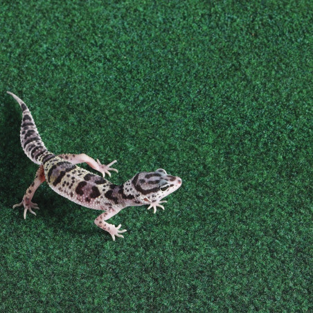 Komodo Reptile Carpet - podłoże do terrarium 60x50cm | Idealne dla gadów