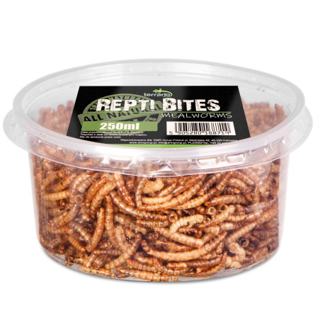 Terrario Repti Bites Mealworms 250ml - larwy mącznika suszone | Bogate w białko, idealne dla gadów