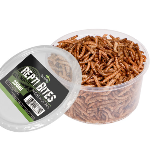 Terrario Repti Bites Mealworms 250ml - larwy mącznika suszone | Bogate w białko, idealne dla gadów