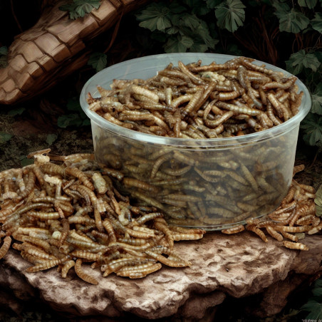 Terrario Repti Bites Mealworms 250ml - larwy mącznika suszone | Bogate w białko, idealne dla gadów