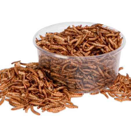 Terrario Repti Bites Mealworms 250ml - larwy mącznika suszone | Bogate w białko, idealne dla gadów