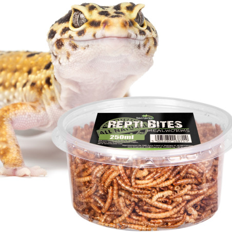 Terrario Repti Bites Mealworms 250ml - larwy mącznika suszone | Bogate w białko, idealne dla gadów