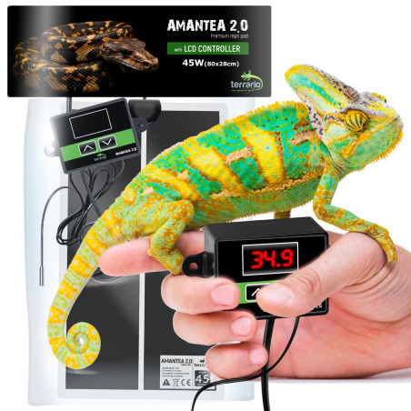 Terrario Amantea 2.0 45W - mata grzewcza z termostatem | Precyzyjne i bezpieczne ogrzewanie