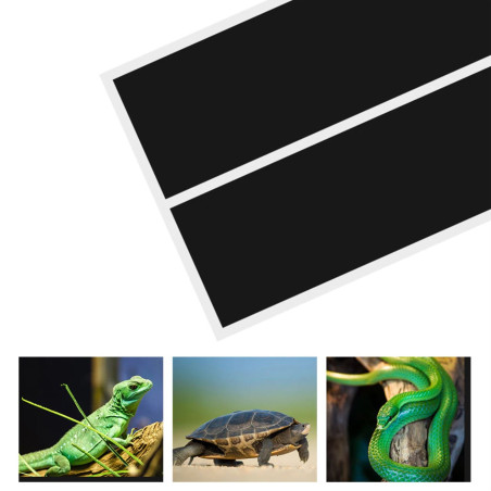 Repti-Zoo Superior Mat 35W - mata grzewcza 65x28cm - Stabilne, bezpieczne ciepło dla gadów