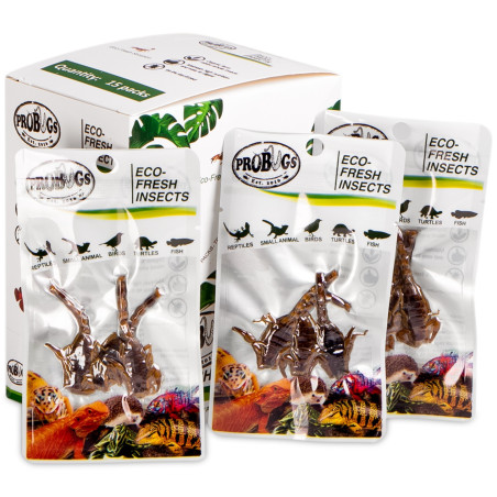 ProBugs Eco-Fresh Scorpion 15 x 3pcs - Świeży pokarm dla gadów
