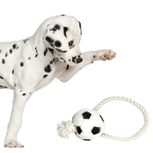 Zabawka gumowa dla psa Aqua Nova Pet Nova piłka futbolowa na sznurku 26 cm