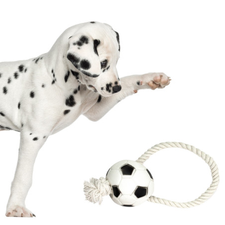 Zabawka gumowa dla psa Aqua Nova Pet Nova piłka futbolowa na sznurku 26 cm