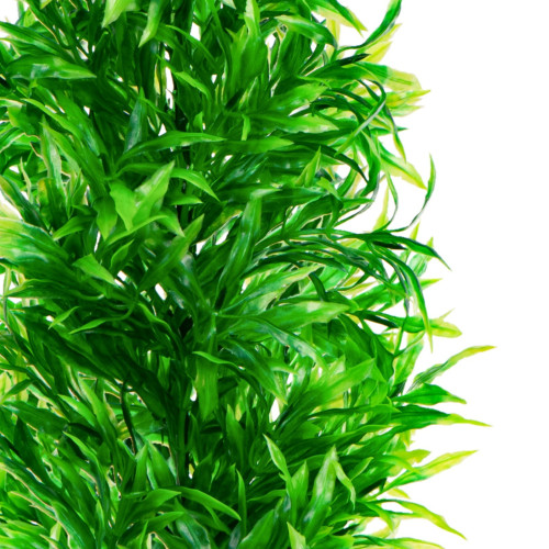 Sztuczna roślina akwariowa Kruger Meier Plant High Leafy, gęste zielone liście, naturalny wygląd