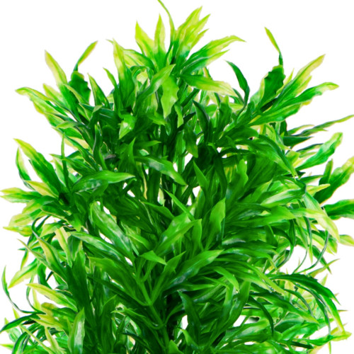 Sztuczna roślina akwariowa Kruger Meier Plant High Leafy, gęste zielone liście, naturalny wygląd