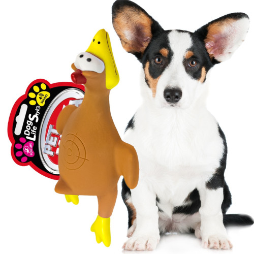 Pet Nova zabawka gumowa - brązowa kura w locie 26cm | Idealna do aportu, szybka wysyłka