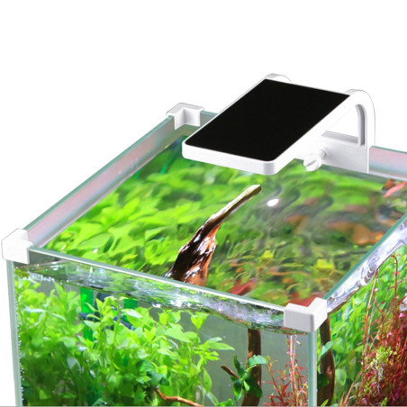 SunSun Shrimp LED 5W - idealne oświetlenie do krewetkariów