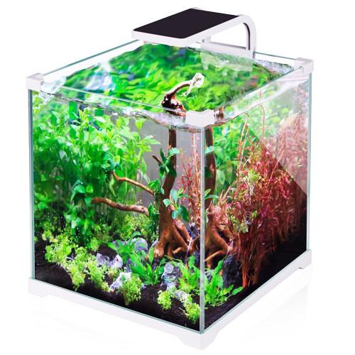 SunSun Shrimp LED 5W - idealne oświetlenie do krewetkariów