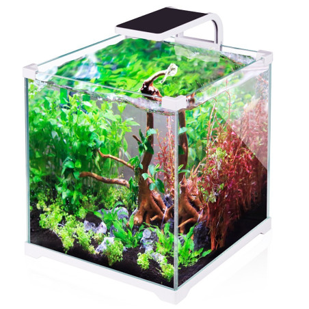 SunSun Shrimp LED 5W - idealne oświetlenie do krewetkariów