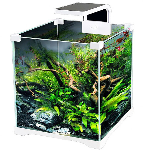 SunSun Shrimp LED 5W - idealne oświetlenie do krewetkariów