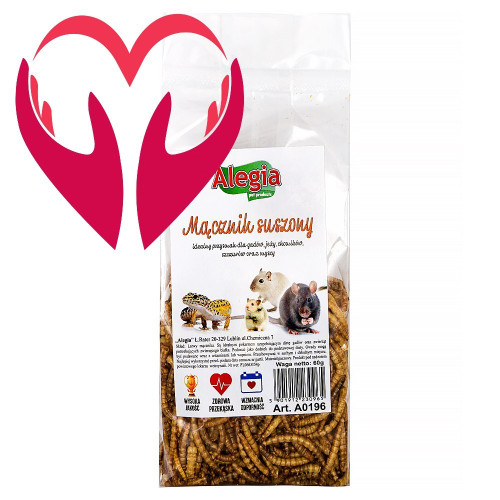 Alegia larwy mącznika 60g - Smaczny, białkowy przysmak dla gryzoni