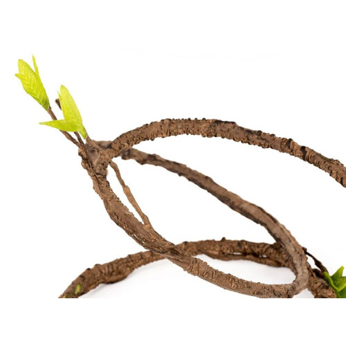 Repti-Zoo Jungle Multi Vines - rozgałęziona liana gięta 150cm | Idealna do terrarium