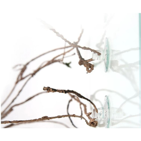 Repti-Zoo Jungle Multi Vines - rozgałęziona liana gięta 150cm | Idealna do terrarium