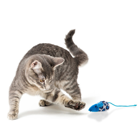 HappyPet Velour Mice - myszka dla kota | Miękka, trwała — stymuluje instynkt łowiecki