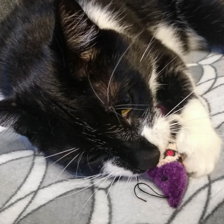 HappyPet Velour Mice - myszka dla kota | Miękka, trwała — stymuluje instynkt łowiecki