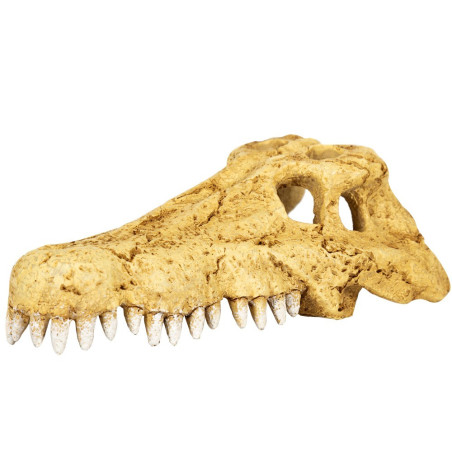 Repti-Zoo Crocodile Skull S | Realistyczna, bezpieczna kryjówka dla gadów