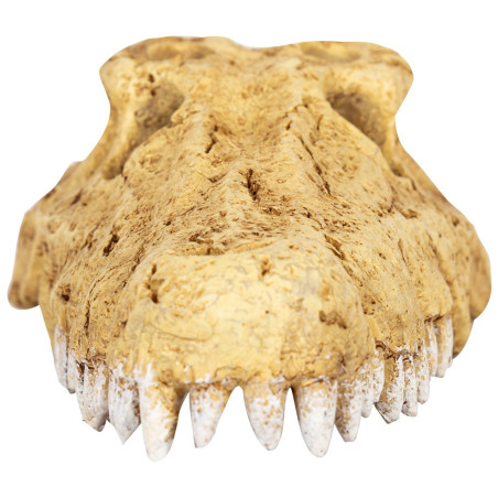 Repti-Zoo Crocodile Skull S | Realistyczna, bezpieczna kryjówka dla gadów